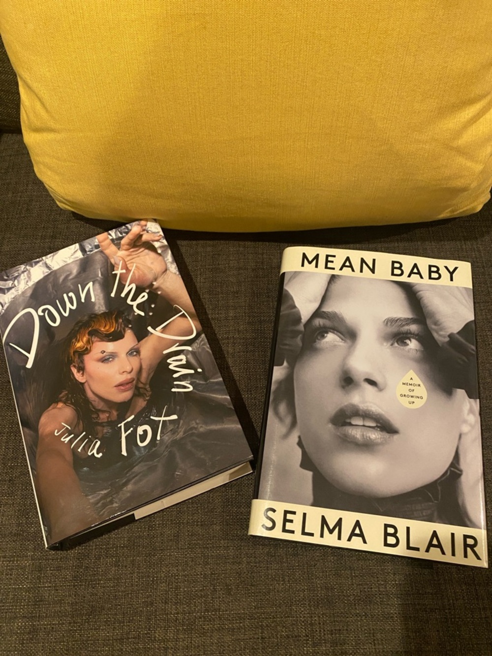 Mean Baby by Selma Blair & Down the Drain by Julia Fox - Hardcover books.